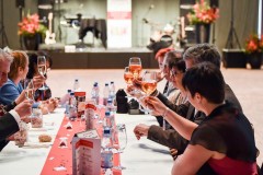 Jubilaeumsgala_10Jahre_Zeit-zum-Tanzen-1085